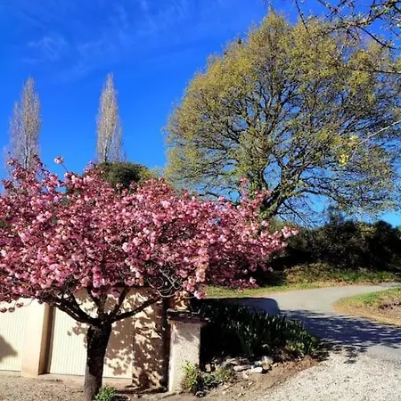 Tatil Evi Ancien Moulin Drome Provencale Montbrison-sur-Lez